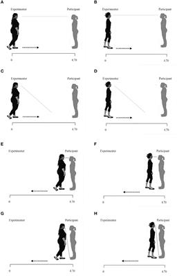 Interoception and Autonomic Correlates during Social Interactions. Implications for Anorexia